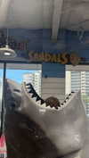 maddyy_dodd Altpins Profile Picture