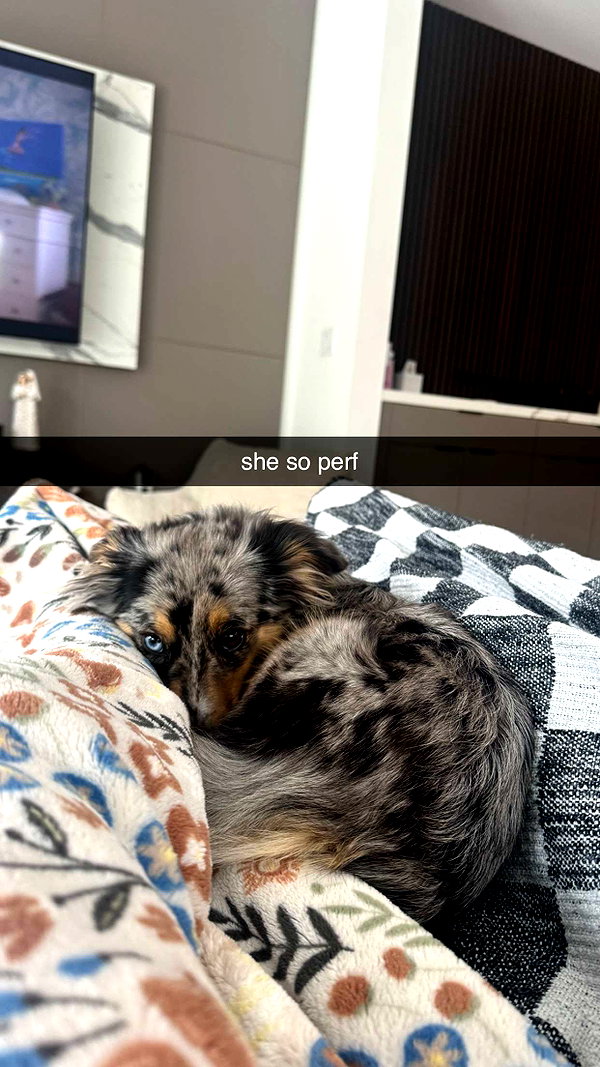 maddyy_dodd snapchat image archive image