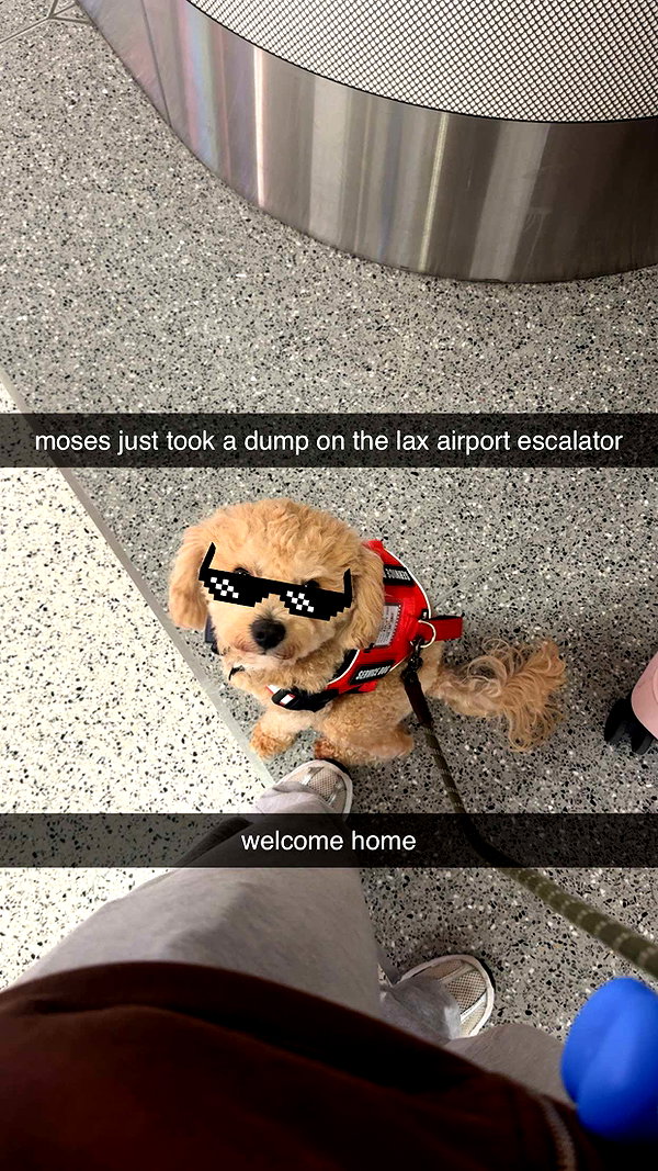 maddyy_dodd snapchat image archive image