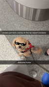 maddyy_dodd Altpins Profile Picture