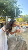maddyy_dodd Altpins Profile Picture