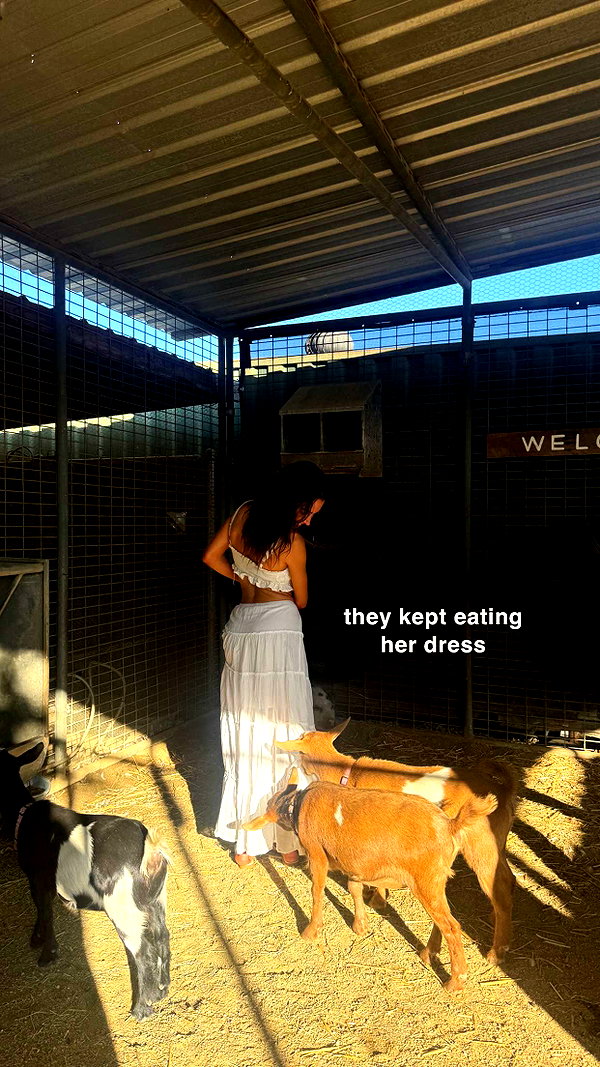 maddyy_dodd snapchat image archive image