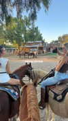 maddyy_dodd Altpins Profile Picture