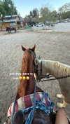 maddyy_dodd Altpins Profile Picture