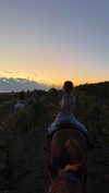 maddyy_dodd Altpins Profile Picture