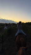 maddyy_dodd Altpins Profile Picture