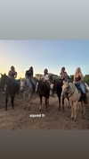 maddyy_dodd Altpins Profile Picture