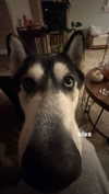 maddyy_dodd Altpins Profile Picture