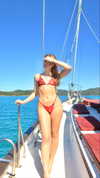 maidibear Altpins Profile Picture