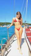 maidibear Altpins Profile Picture