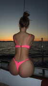 maidibear Altpins Profile Picture