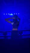maidibear Altpins Profile Picture