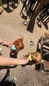 maidibear Altpins Profile Picture