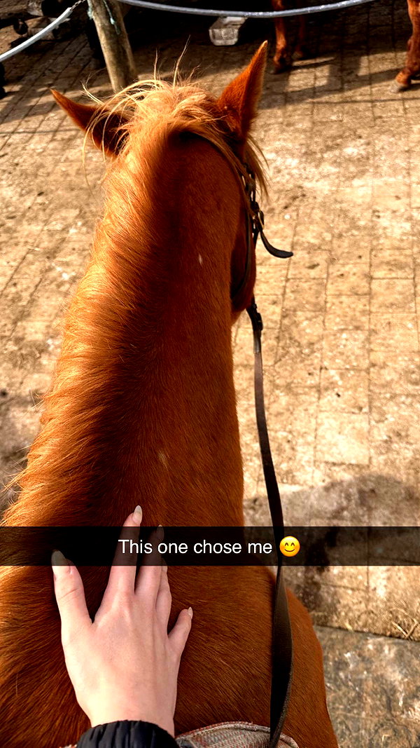 maidibear snapchat image archive image