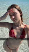 maidibear Altpins Profile Picture