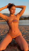 maidibear Altpins Profile Picture