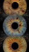 maidibear Altpins Profile Picture
