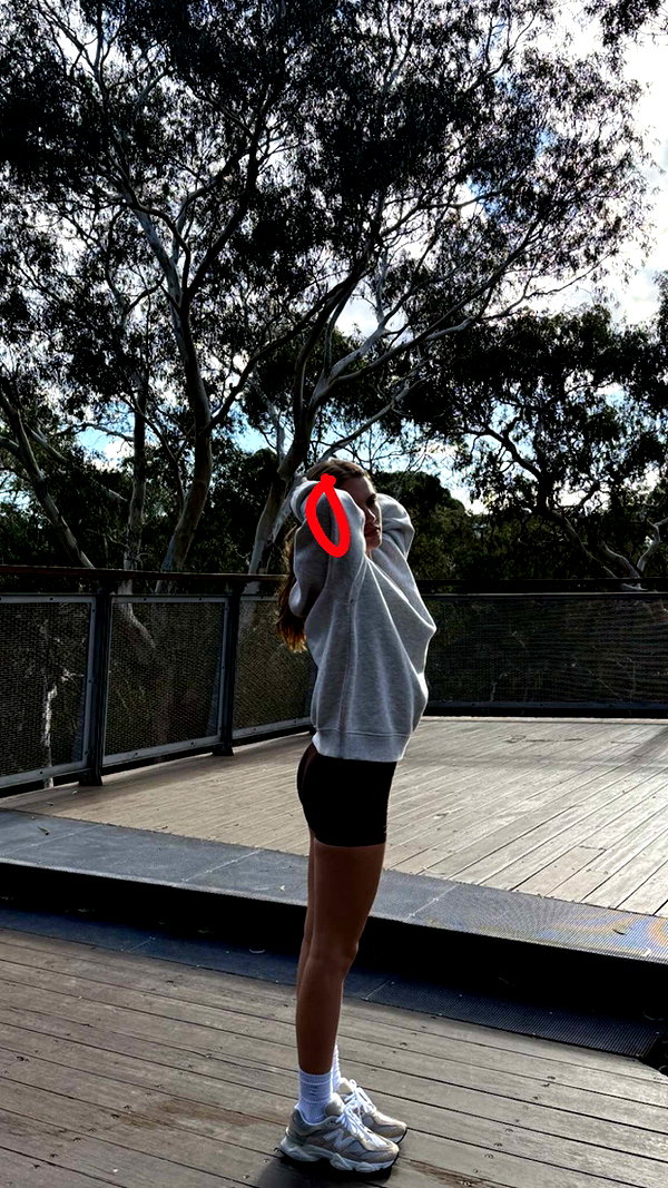 maidibear snapchat image archive image