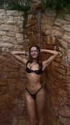 maidibear Altpins Profile Picture