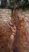 maidibear Altpins Profile Picture