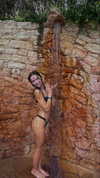 maidibear Altpins Profile Picture