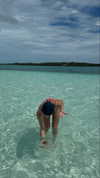 maidibear Altpins Profile Picture