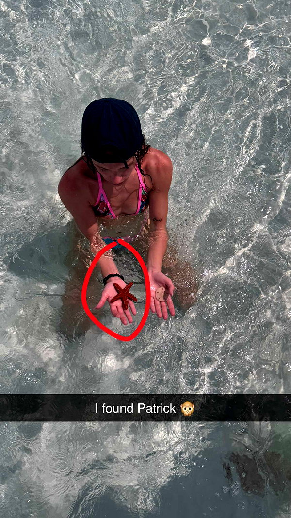 maidibear snapchat image archive image
