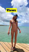 maidibear Altpins Profile Picture