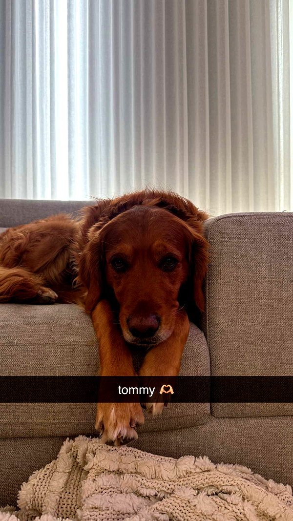 maidibear snapchat image archive image