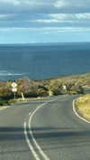 maidibear Altpins Profile Picture