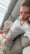 maidibear Altpins Profile Picture