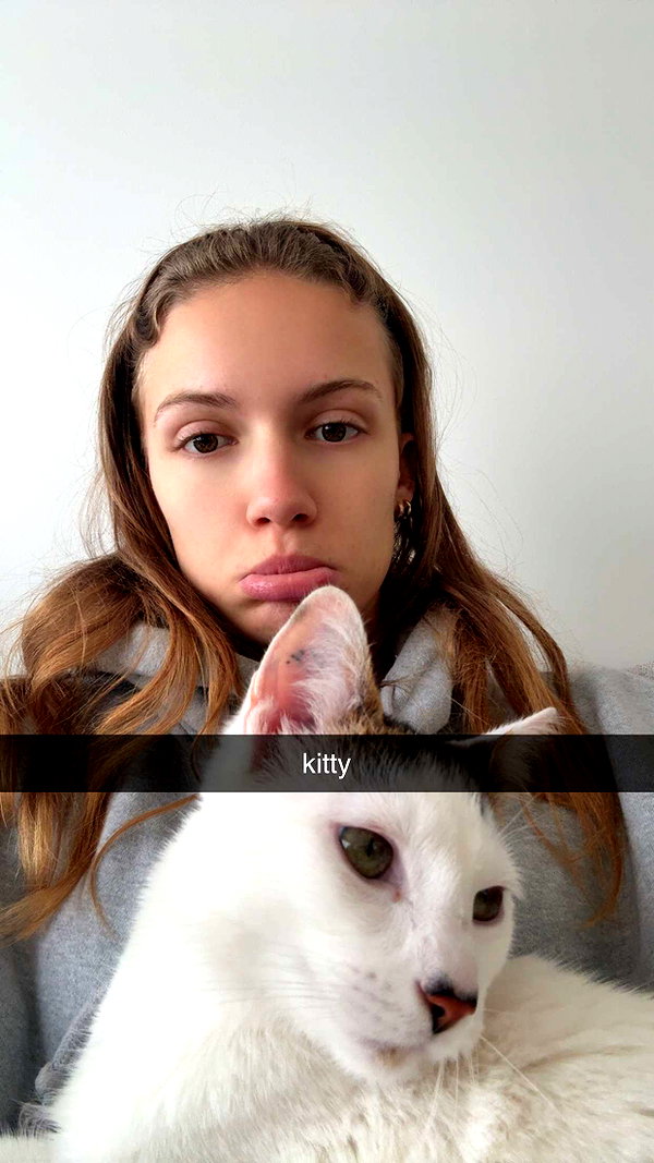 maidibear snapchat image archive image