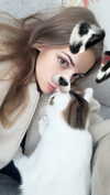 maidibear Altpins Profile Picture