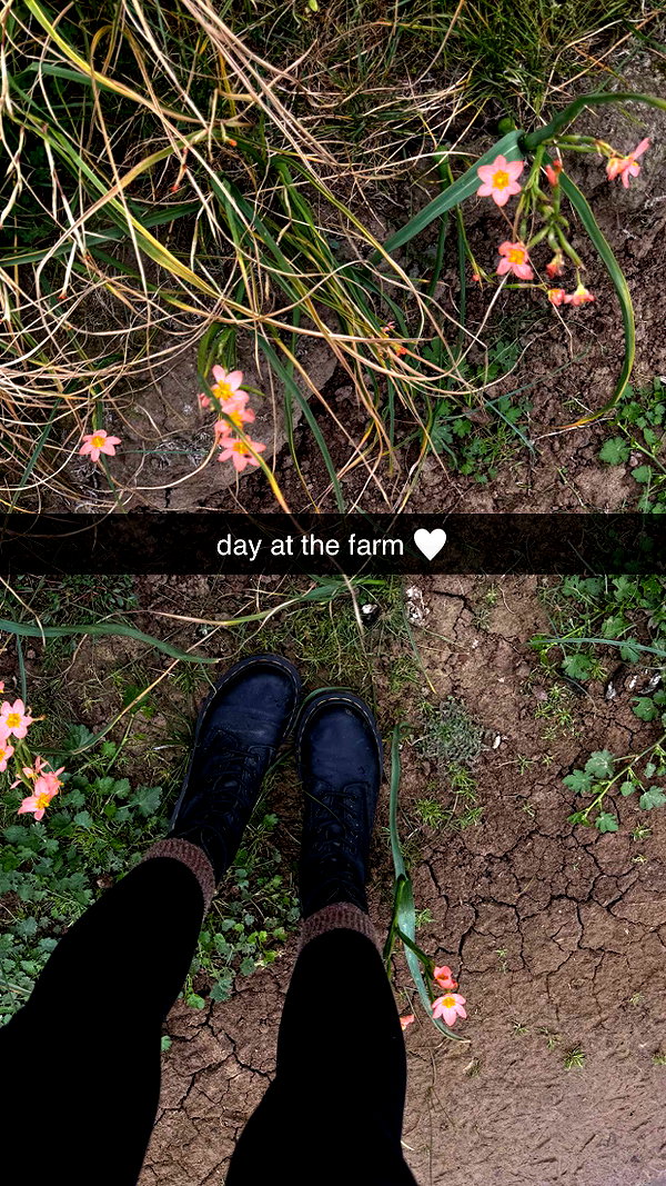 maidibear snapchat image archive image