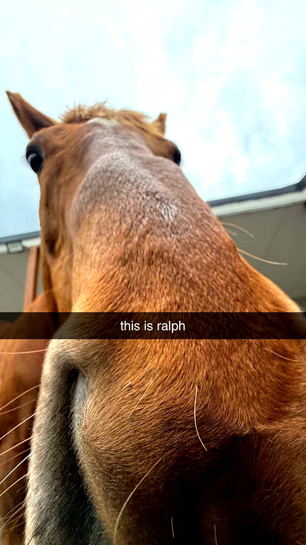 maidibear snapchat image archive image