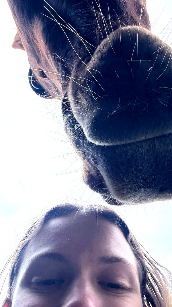 maidibear snapchat image archive image