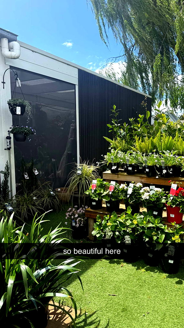 maidibear snapchat image archive image