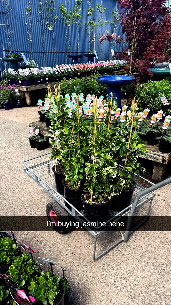 maidibear snapchat image archive image
