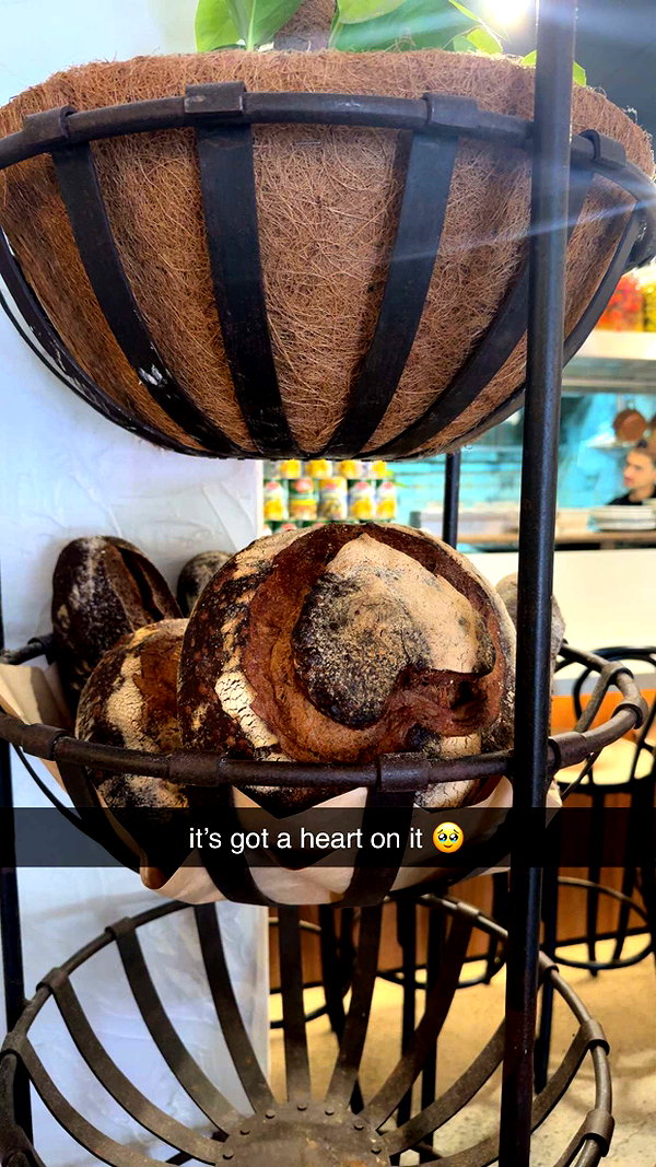 maidibear snapchat image archive image