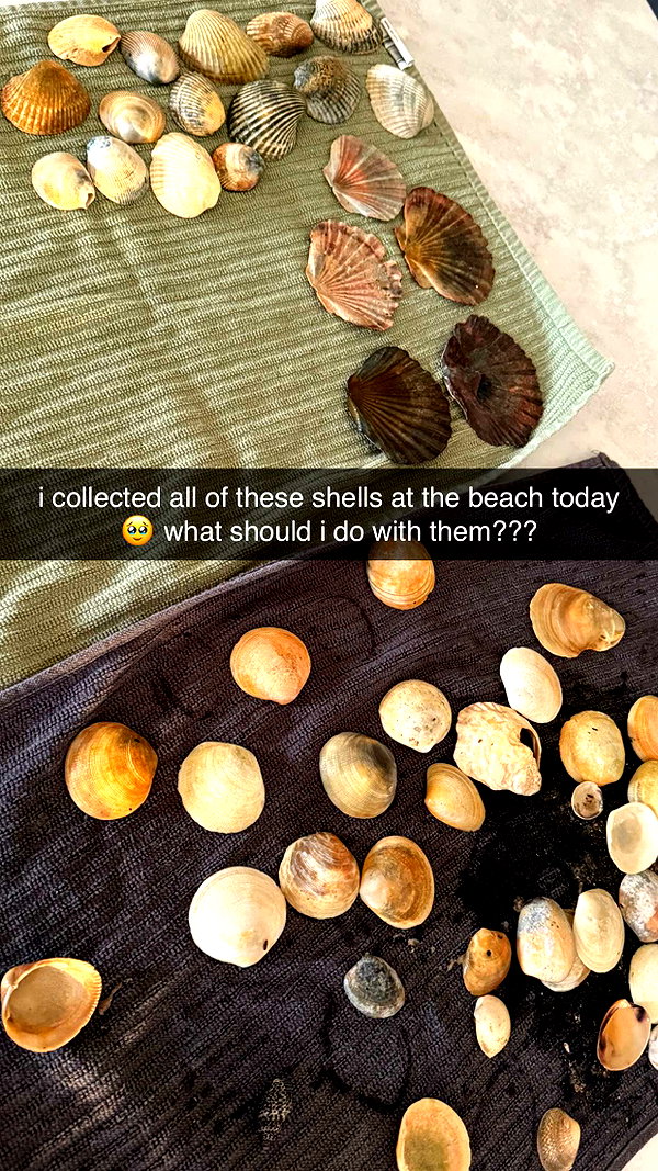 maidibear snapchat image archive image