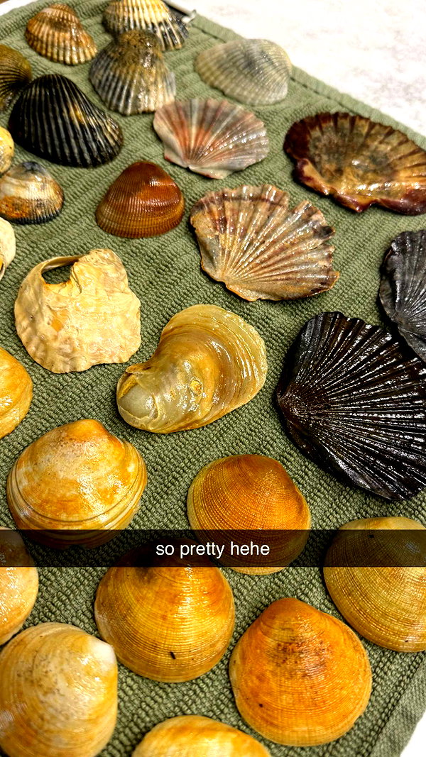 maidibear snapchat image archive image