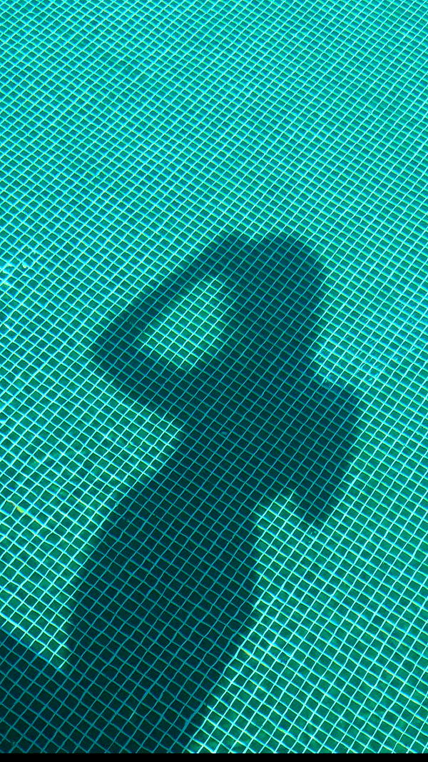 mathilda_bergs image ~ Altpins