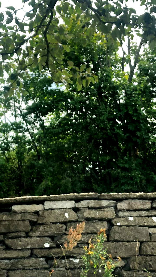 mathilda_bergs image ~ Altpins