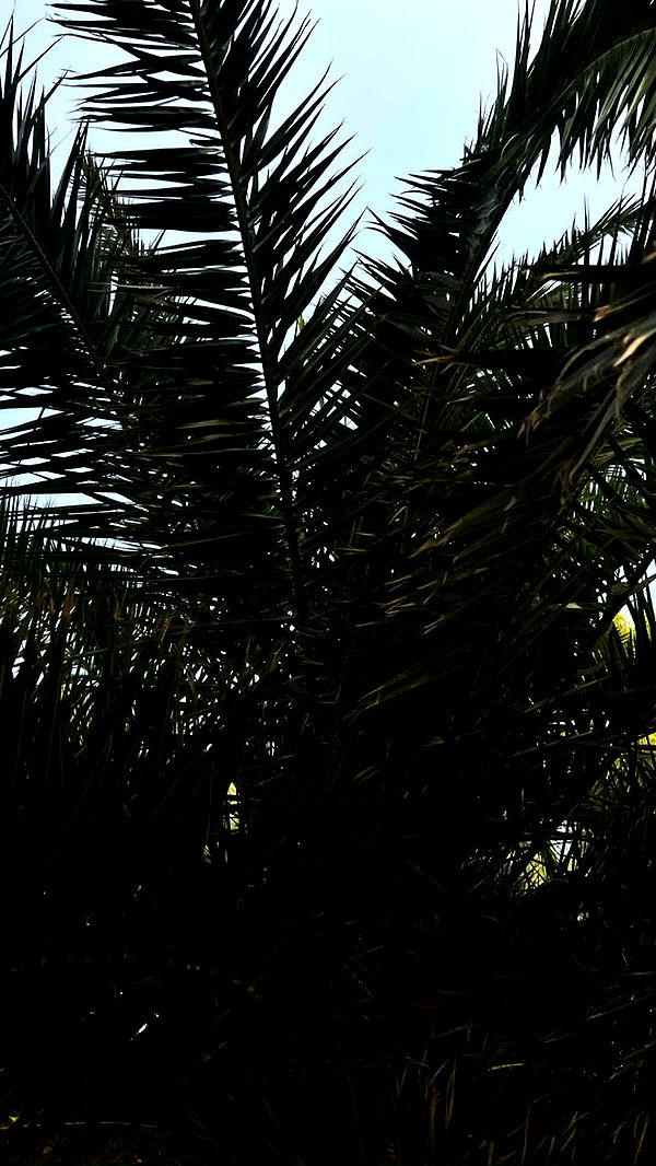 mathilda_bergs image ~ Altpins