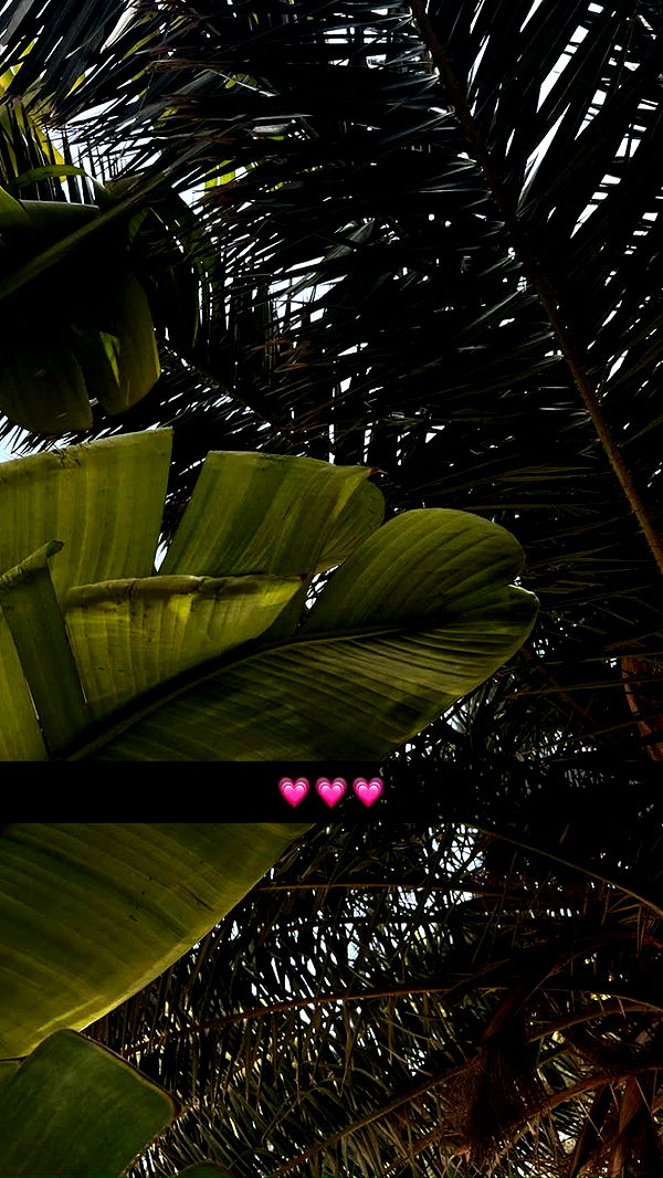 mathilda_bergs image ~ Altpins