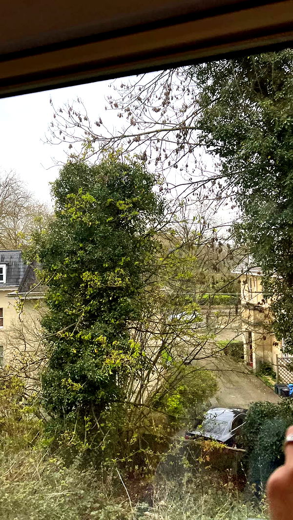 mathilda_bergs image ~ Altpins