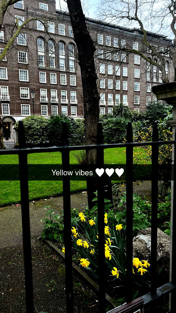 mathilda_bergs image ~ Altpins