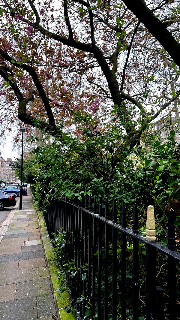 mathilda_bergs image ~ Altpins