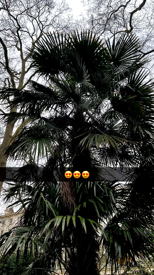 mathilda_bergs image ~ Altpins