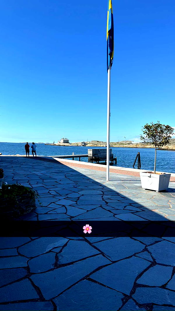 mathilda_bergs image ~ Altpins